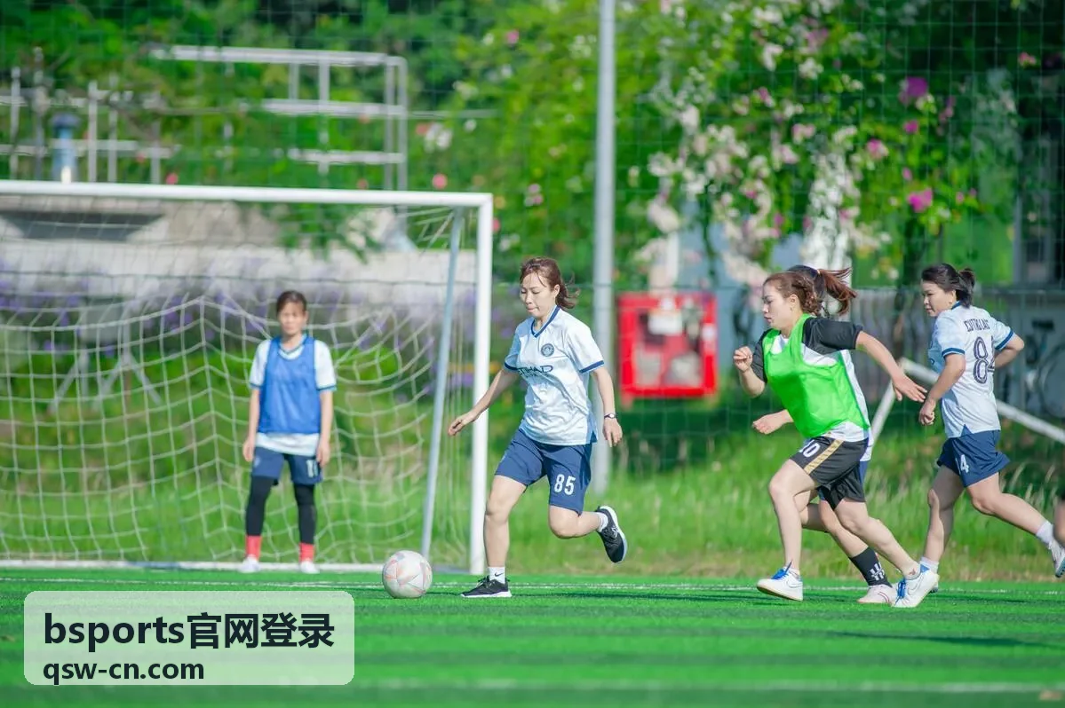 bsports官网登录入口界面预览图